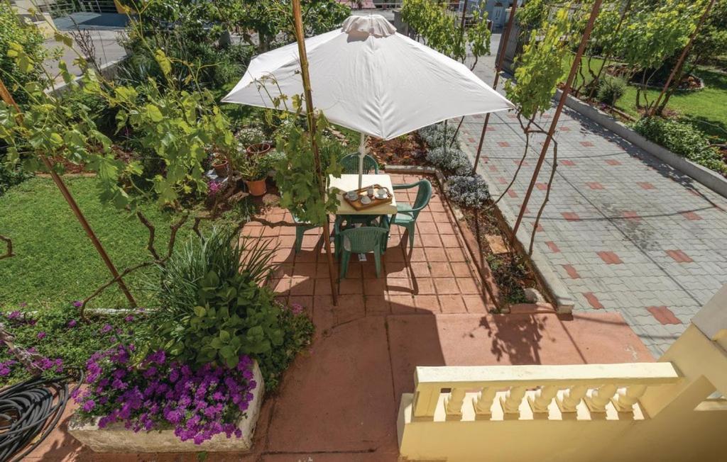 Villa Kata Apartments Zadar Eksteriør billede